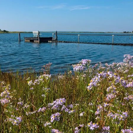 Daenische Ferienhaeuser Am Salzhaff Haus Wattlaeufer Malchow (Poel Island)