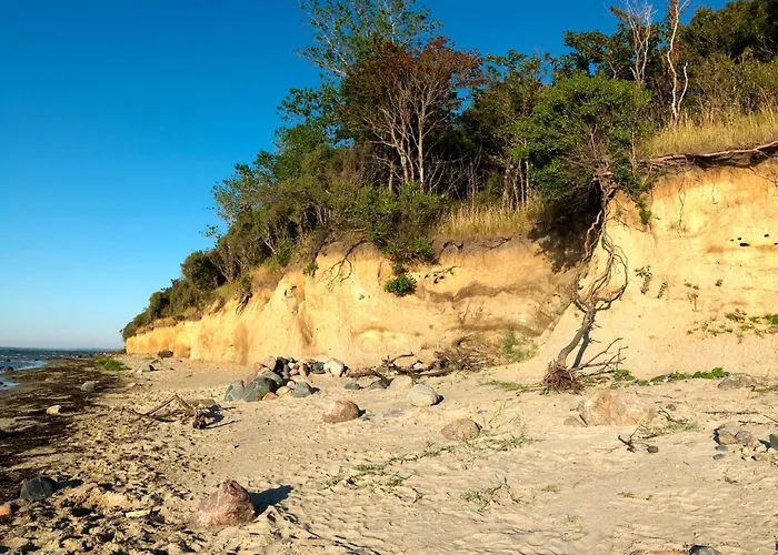 Daenische Ferienhaeuser Am Salzhaff Haus Wattlaeufer *