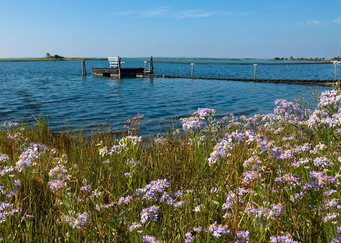 Daenische Ferienhaeuser Am Salzhaff Haus Wattlaeufer Malchow (Poel Island)