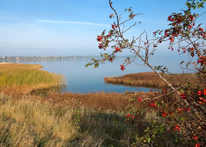 Daenische Ferienhaeuser Am Salzhaff Haus Wattlaeufer *